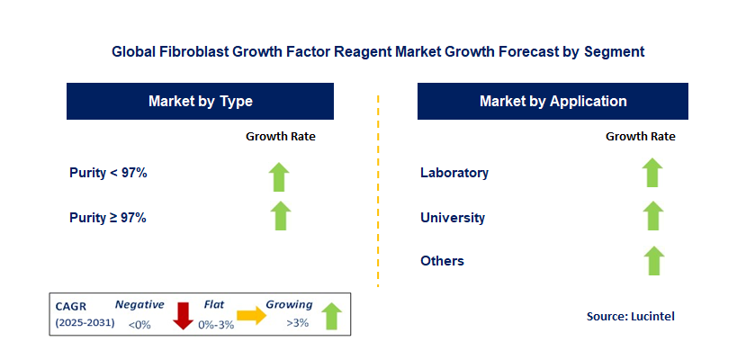 Fibroblast Growth Factor Reagent Market by Segment